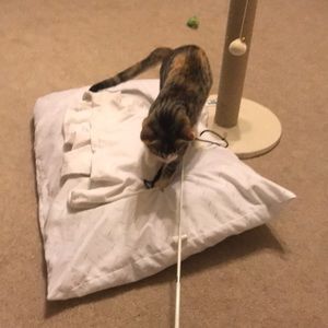 Meet your Posher, Natalija